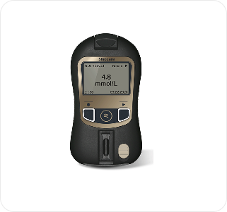 Palm Lab